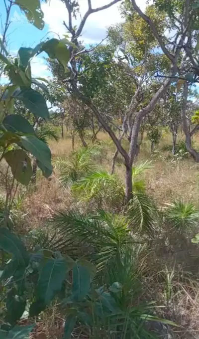 96