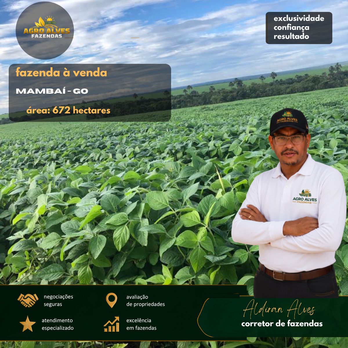 FAZENDA-MAMBAI