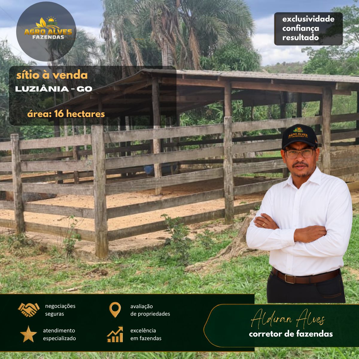 DONA-ROSINHA-LUZIANIA